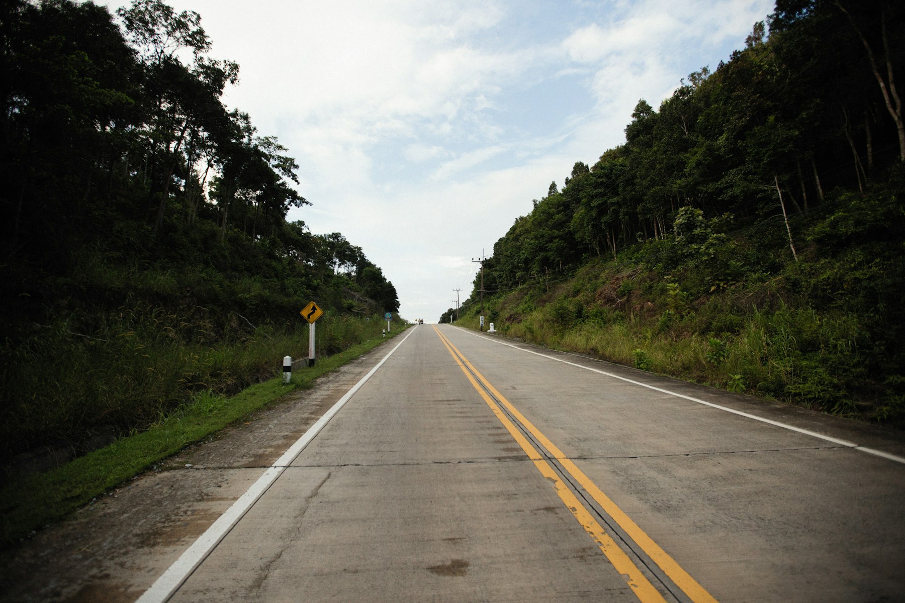 Rodovia brasileira cercada de mata